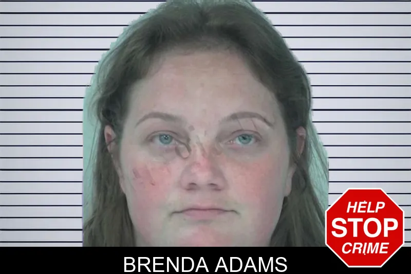 Brenda Adams mugshot