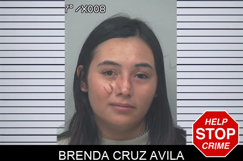 Brenda Cruz Avila mugshot