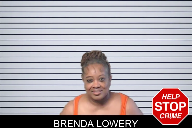 Brenda Lowery mugshot