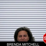 Brenda Mitchell mugshot – Hart County , Georgia Brenda Mitchell mugshot