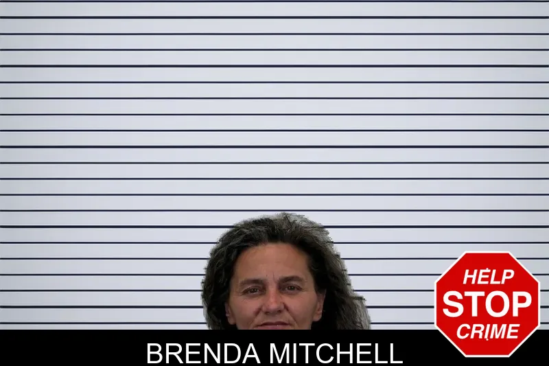 Brenda Mitchell mugshot – Hart County , Georgia Brenda Mitchell mugshot