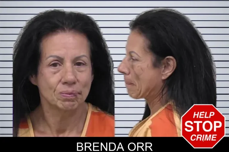 Brenda Orr