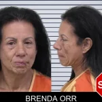 Brenda Orr mugshot – Paulding County , Georgia Brenda Orr mugshot