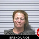 Brenda Rios mugshot