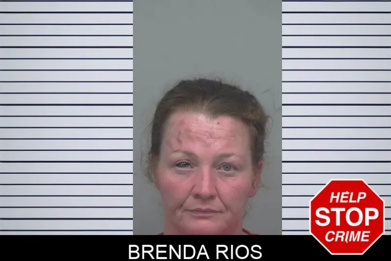 Brenda Rios mugshot – Gwinnett County , Georgia Brenda Rios