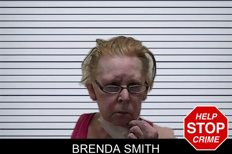 Brenda Smith mugshot