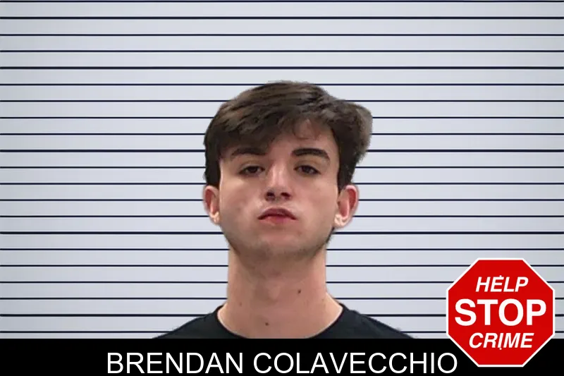 Brendan Colavecchio mugshot