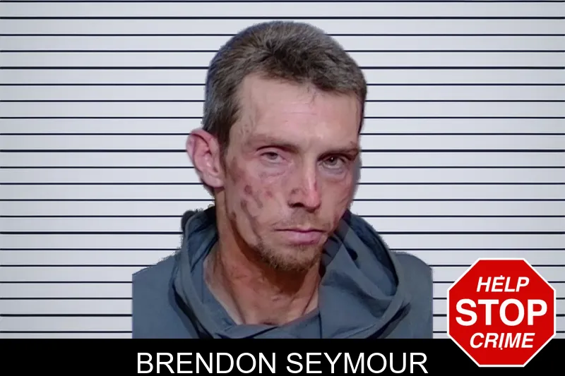 Brendon Seymour mugshot – Glynn County , Georgia Brendon Seymour mugshot