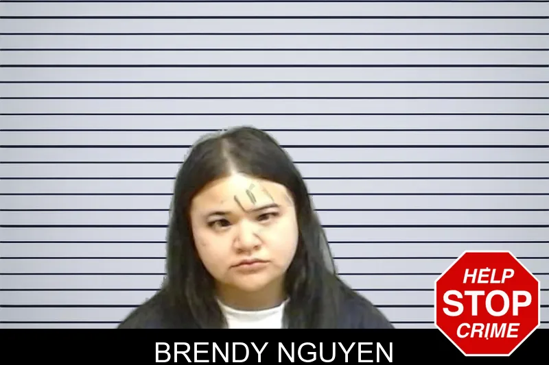 Brendy Nguyen mugshot