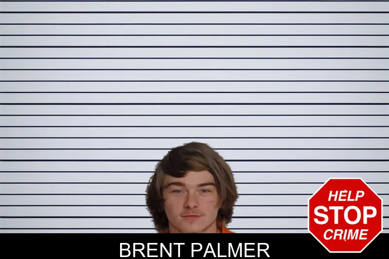 Brent Palmer mugshot – Rockdale County , Georgia Brent Palmer mugshot