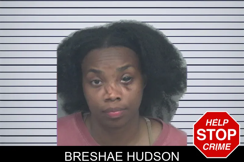 Breshae Hudson mugshot