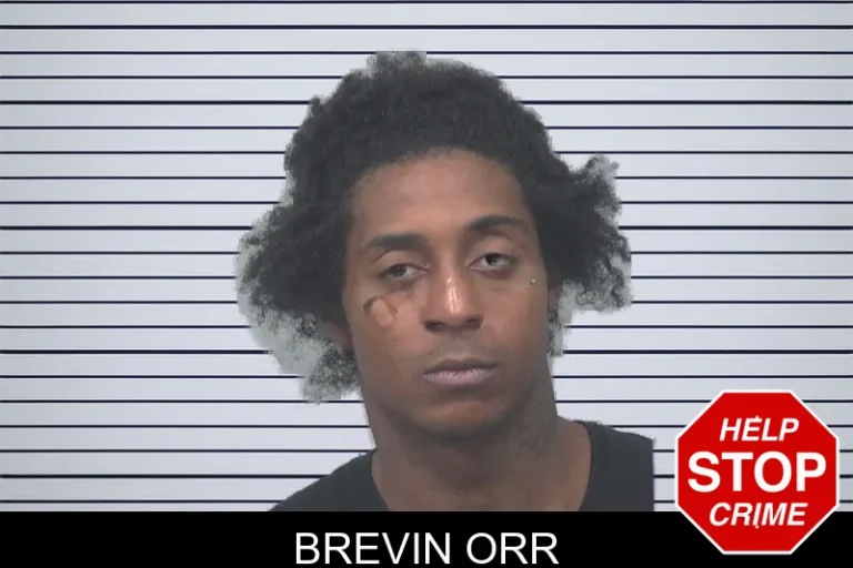 Brevin Orr mugshot – Gwinnett County , Georgia Brevin Orr