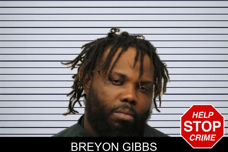Breyon Gibbs mugshot – Chatham County , Georgia Breyon Gibbs mugshot