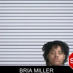 Bria Miller mugshot – Twiggs County , Georgia Bria Miller mugshot