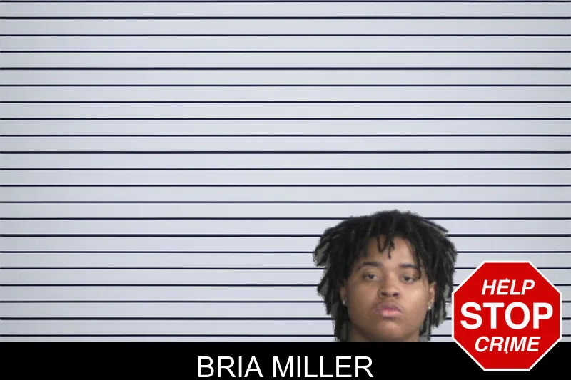Bria Miller mugshot – Twiggs County , Georgia Bria Miller mugshot