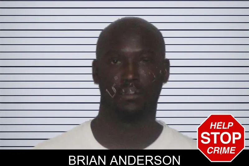 Brian Anderson mugshot – Morgan County , Georgia Brian Anderson mugshot