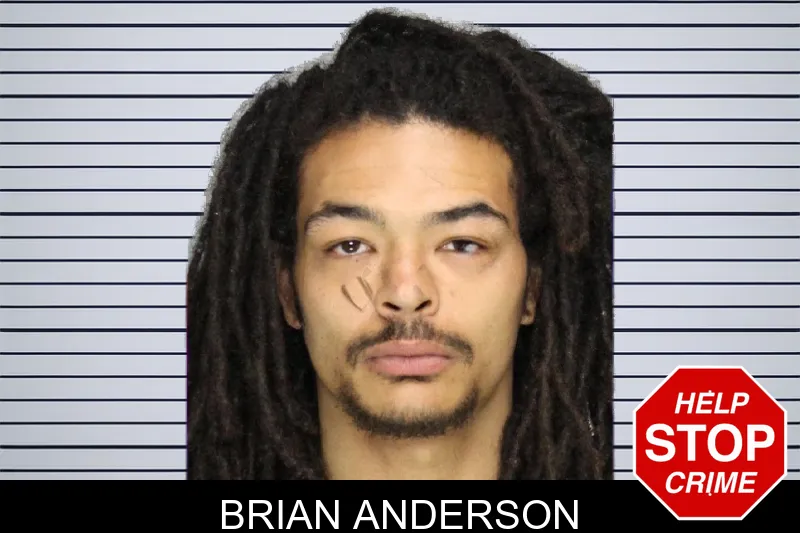 Brian Anderson mugshot – Cobb County , Georgia Brian Anderson mugshot