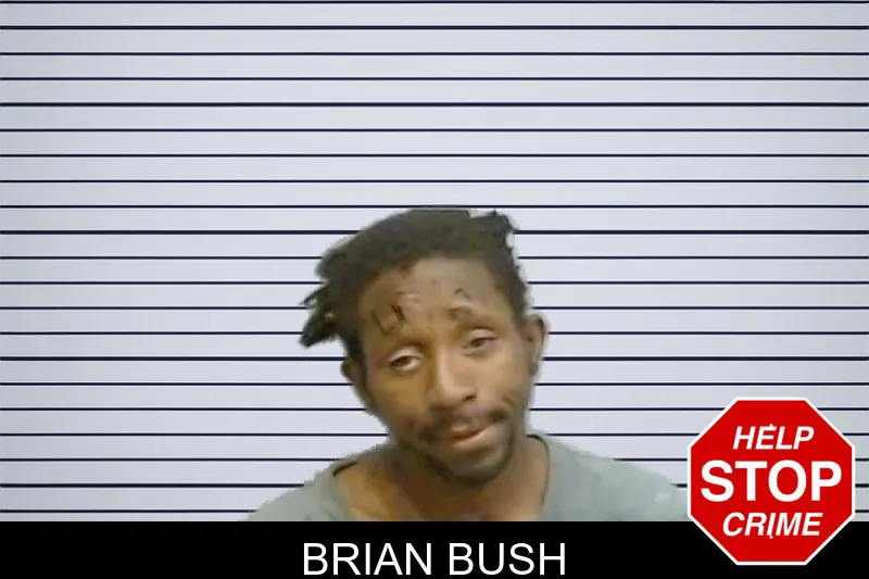 Brian Bush mugshot – Fulton County , Georgia Brian Bush mugshot