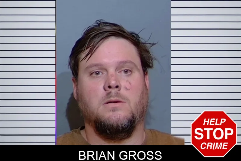 Brian Gross mugshot