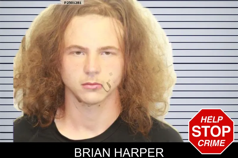 Brian Harper mugshot