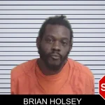 Brian Holsey mugshot – Wayne County , Georgia Brian Holsey mugshot