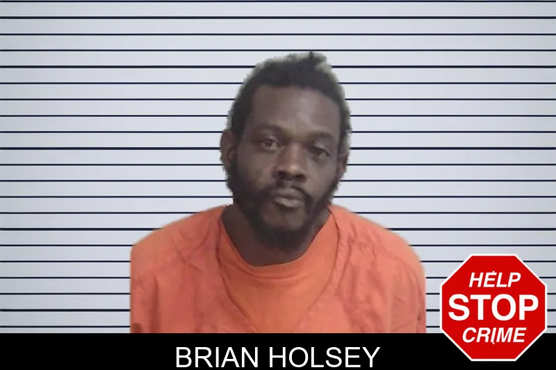 Brian Holsey mugshot – Wayne County , Georgia Brian Holsey mugshot