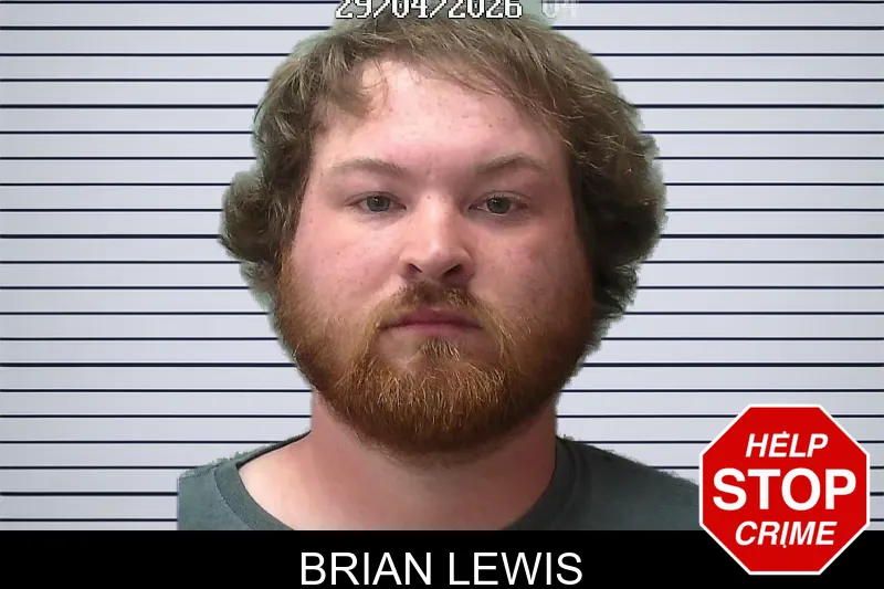 Brian Lewis mugshot