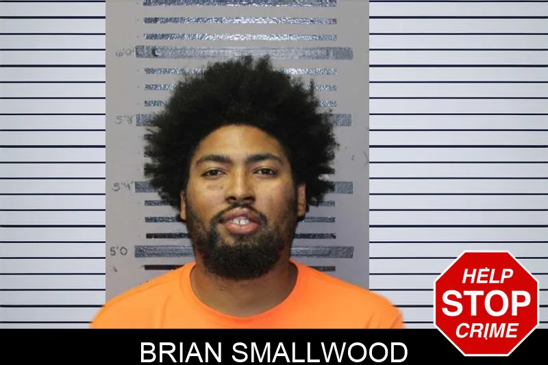 Brian Smallwood mugshot – Thomas County , Georgia Brian Smallwood mugshot