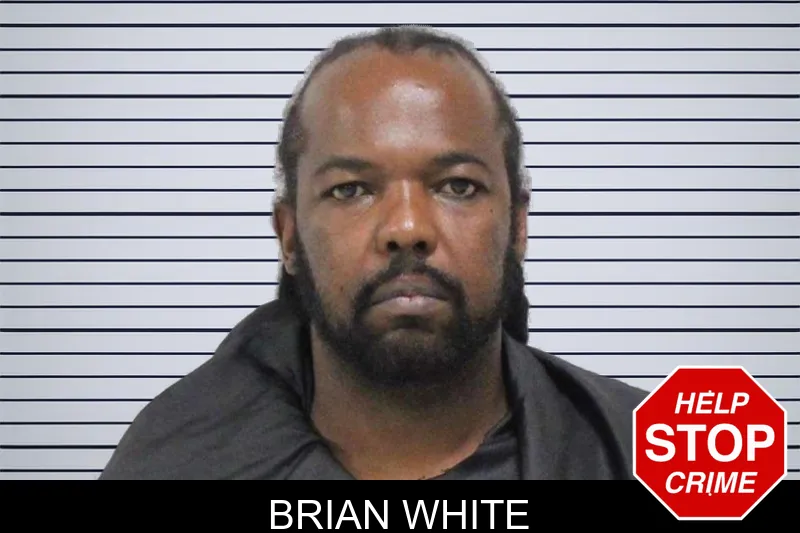Brian White mugshot – Carroll County , Georgia Brian White mugshot