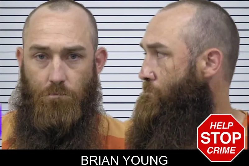 Brian Young mugshot