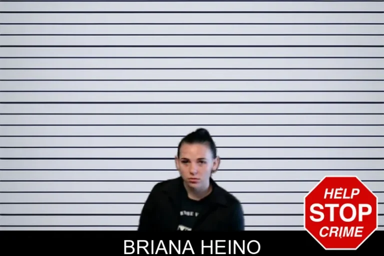 Briana Heino