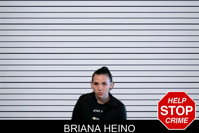 Briana Heino mugshot