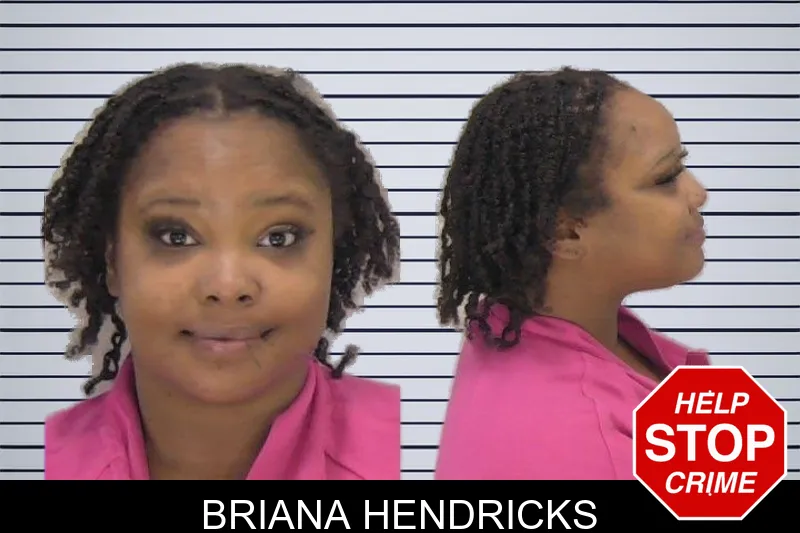 Briana Hendricks mugshot
