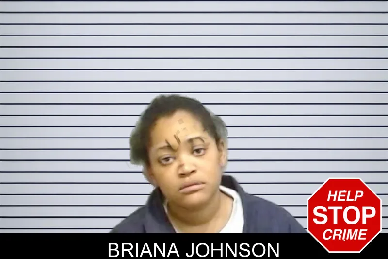 Briana Johnson mugshot – Fulton County , Georgia Briana Johnson mugshot