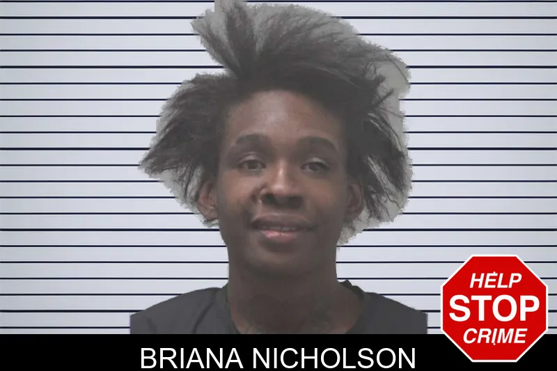 Briana Nicholson mugshot