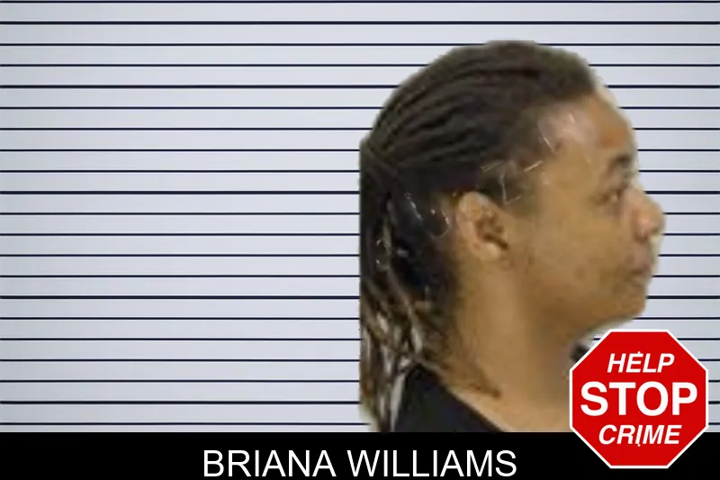 Briana Williams mugshot