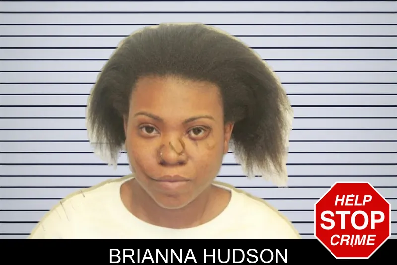 Brianna Hudson mugshot – Chatham County , Georgia Brianna Hudson mugshot