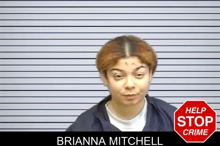 Brianna Mitchell mugshot – Fulton County , Georgia Brianna Mitchell
