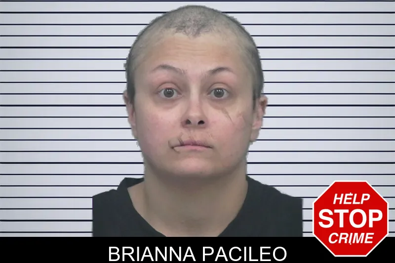 Brianna Pacileo mugshot