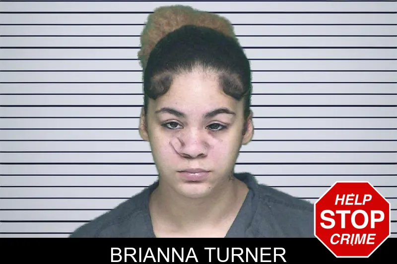 Brianna Turner mugshot – Appling County , Georgia Brianna Turner mugshot