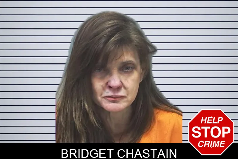 Bridget Chastain mugshot