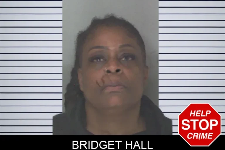 Bridget Hall mugshot – Douglas County , Georgia Bridget Hall