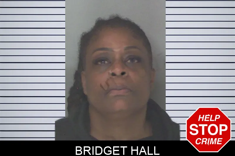 Bridget Hall mugshot