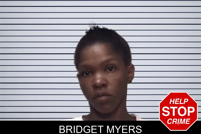 Bridget Myers mugshot