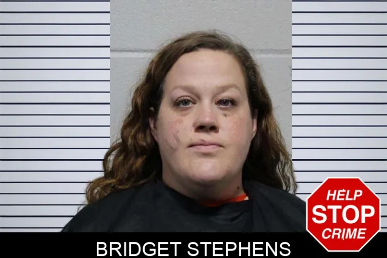 Bridget Stephens mugshot – Habersham County , Georgia Bridget Stephens