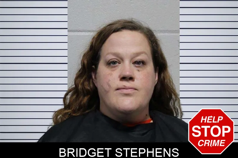 Bridget Stephens mugshot