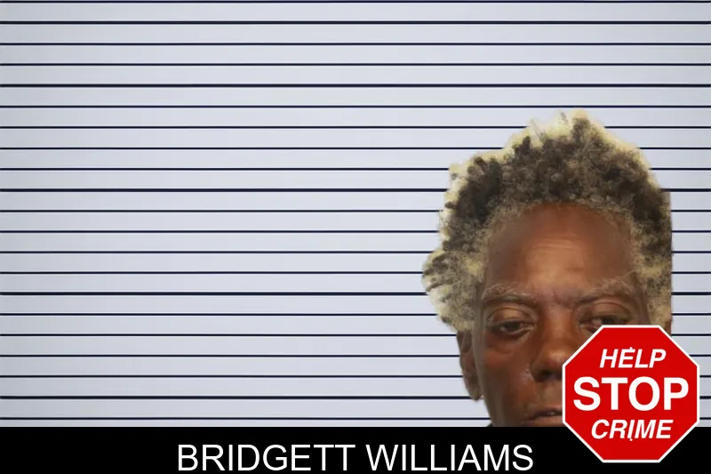 Bridgett Williams mugshot
