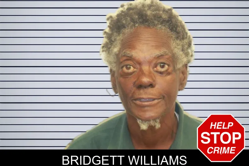 Bridgett Williams mugshot