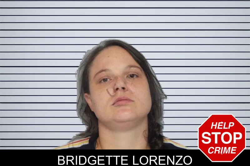 Bridgette Lorenzo mugshot – Hall County , Georgia Bridgette Lorenzo mugshot