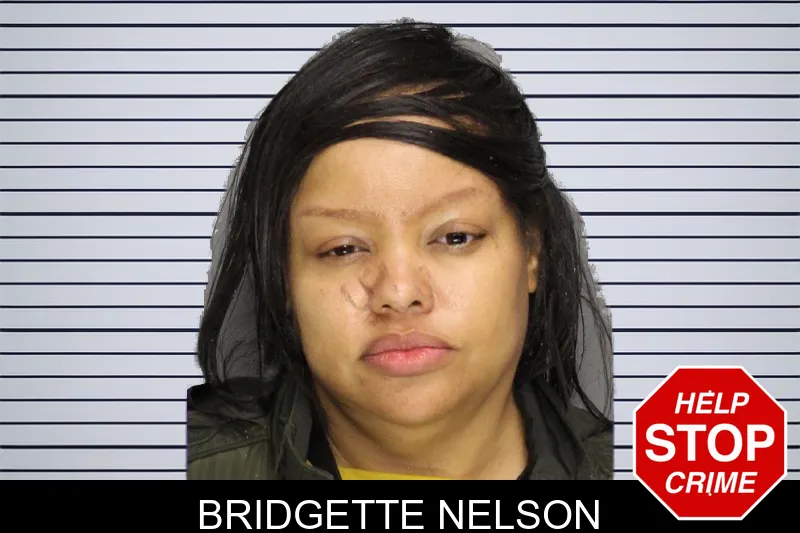 Bridgette Nelson mugshot